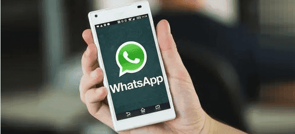 WhatsApp, Important news for video calls WhatsApp, Important news for video calls