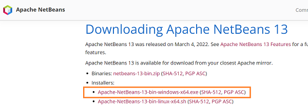 Cómo instalar Netbeans IDE 13 para java