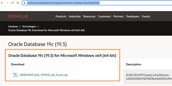 How to install Oracle Database 19c on Windows